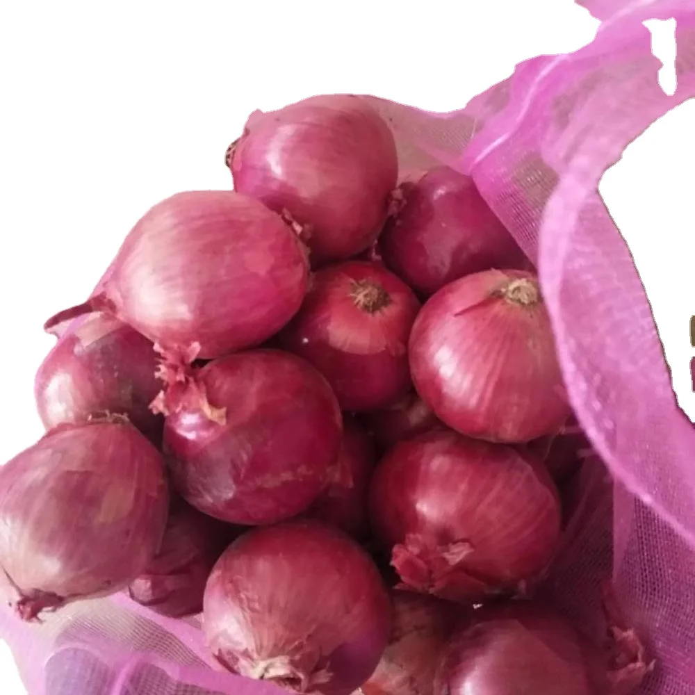 Good Quality fresh Onion in bulk for sale