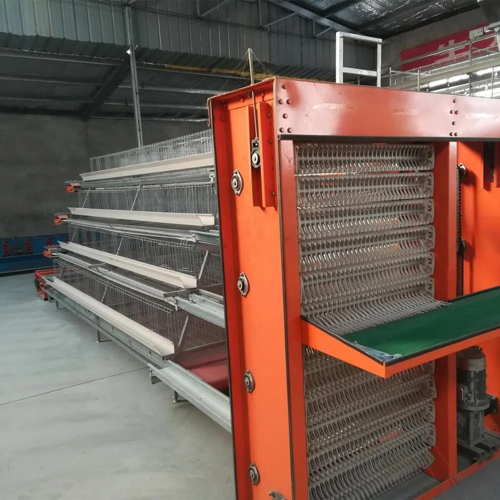 chicken layer cage