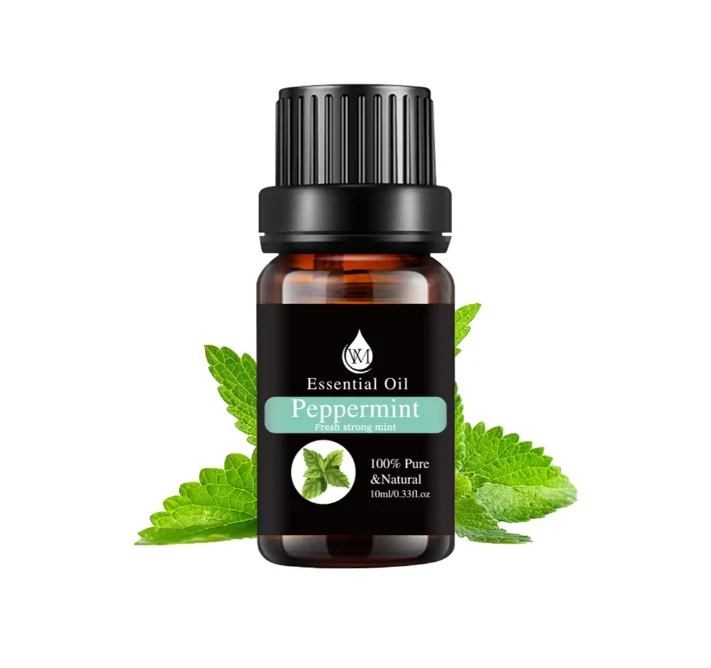 Essential Oil Set with Tea Tree Peppermint Lavender Lemon Eucalyptus Rose Rosemary Face Massage 10ml Bottle OEM Supply
