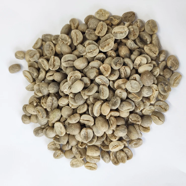 Natural Arabica Raw Yunnan Coffee Beans