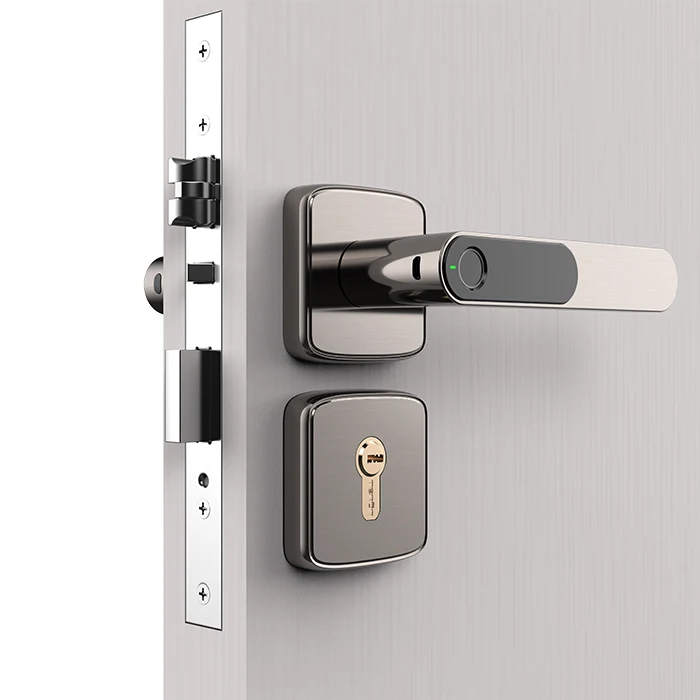 Best Quality Apartment Smart Dead Bolt Door Lock Bluetooth Tuya Keyless Electronic Battery Biometric Fingerprint Door Lock
