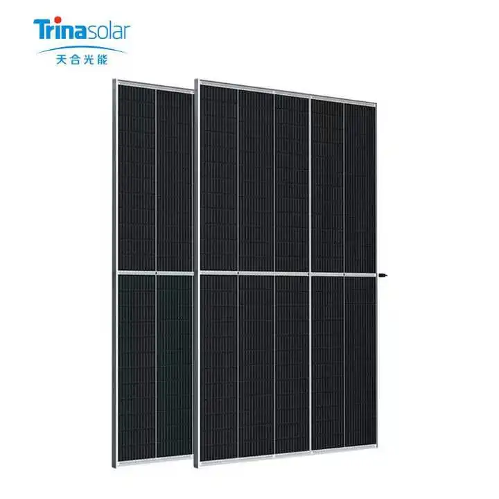 Tier 1 brand Trina 580w 585w 590w 595w 600w Vertex N bifacial dual glass solar module monocrystalline TSM-NEG19RC.20