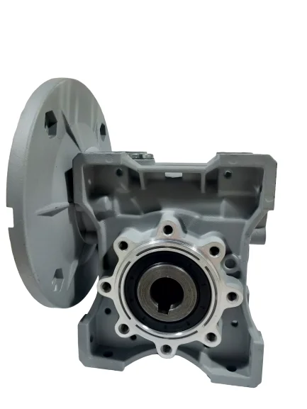 RV RW B14 flange RW40 worm gearbox vertical worm gear reducer servo motor