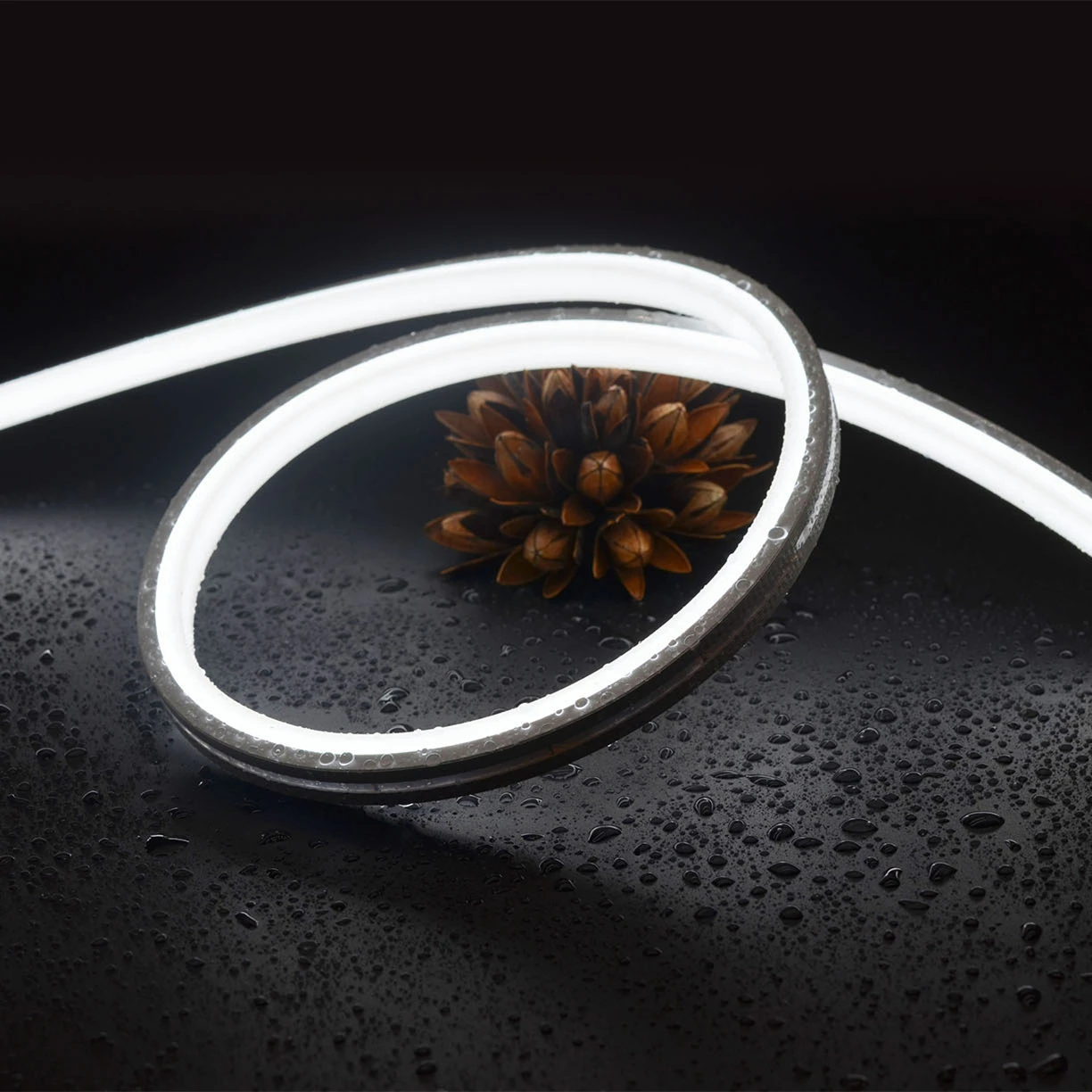 High Quality Bedroom Decoration RGB 10*10mm Flexible Neon Light