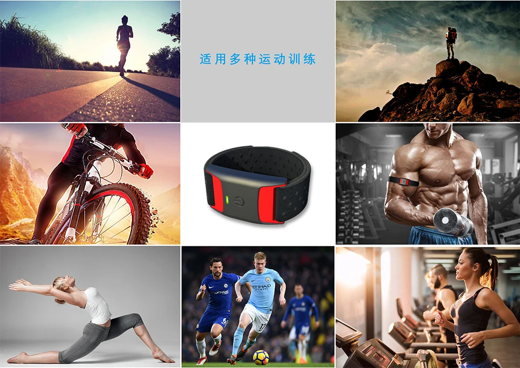 Armband Heart Rate Monitoring Scientific and Effective Fitness Tracker for Professional Training of Adults in gym