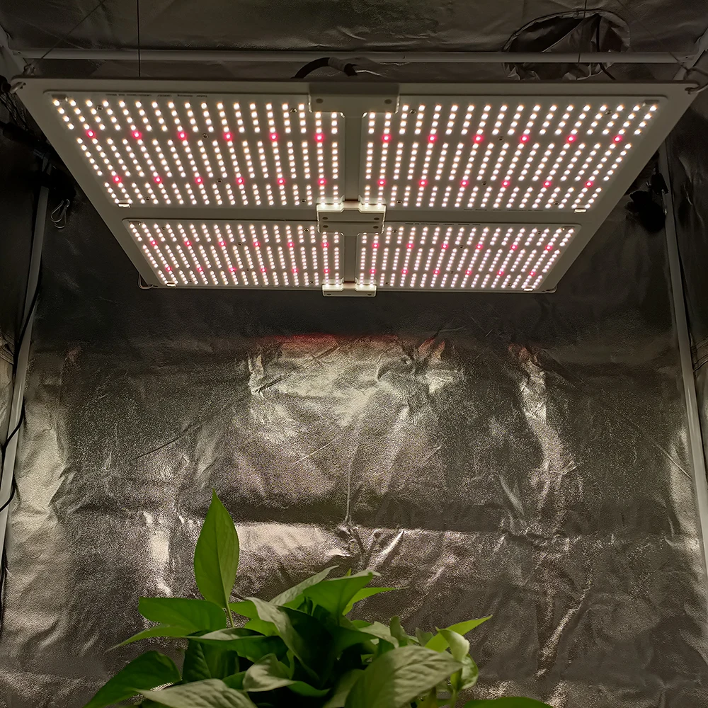 
480Watt growing led lamp China Greenhouse weeds grower led Hydroponic Full Spectrum LED Grow Light 