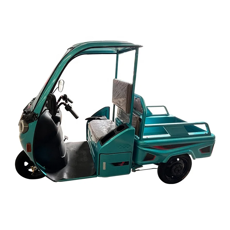 2024 New Design 3-Wheel Steel Electric Trike Closed Body Cargo Tricycle with Windshield Motorized 60V Electron Drive