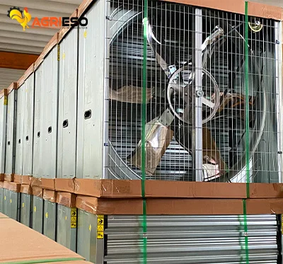 Agrieso High Quality Centrifugal Exhaust Box Fans For Ventilation System Chicken Farm Cooling Fan Poultry Equipment