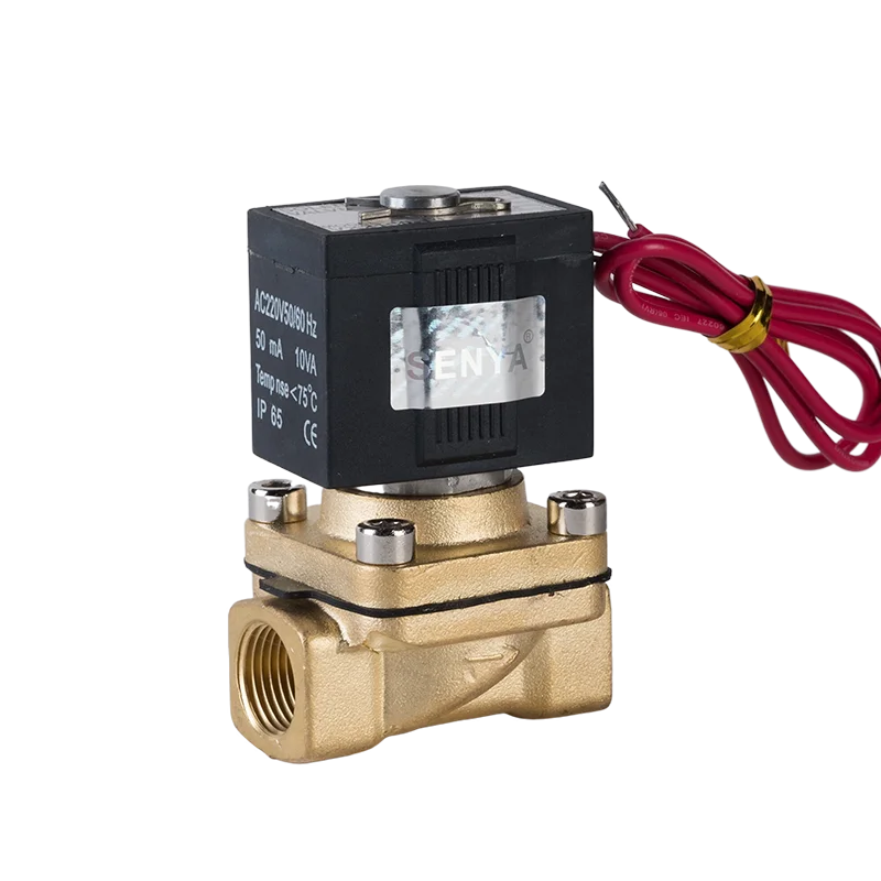 VX2120 Series High Quality Direct Acting 12V Water Solenoid Valve 12VDC 24VDC 110V 220V Normal Close Steam Brass Solenoid Valve