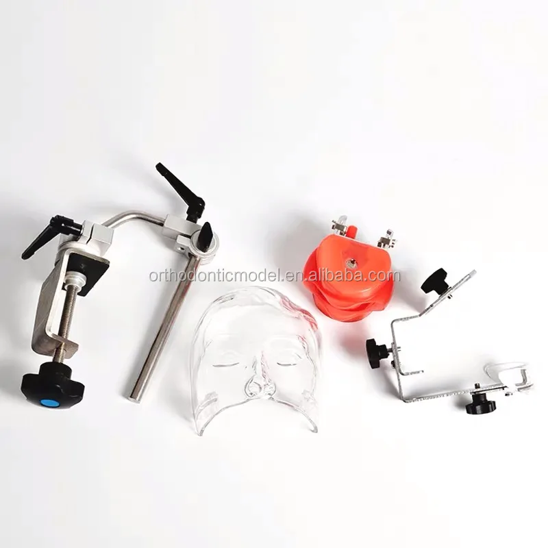 Высокое качество усовершенствованная зубная головка phantom простой манекен с заменяемыми зубьями