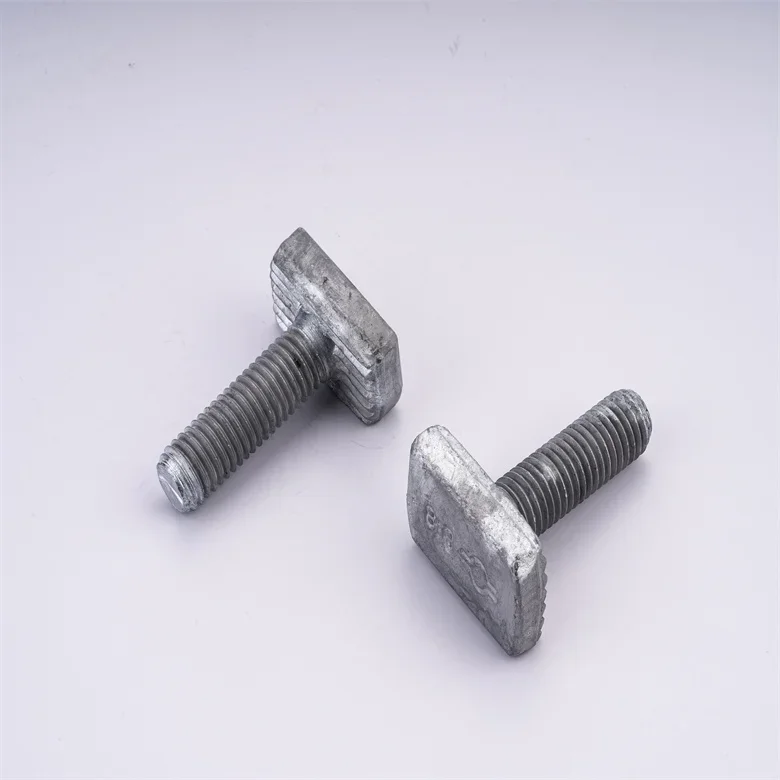 High quality bolt Stainless Steel 304/316 T Bolt T head bolt