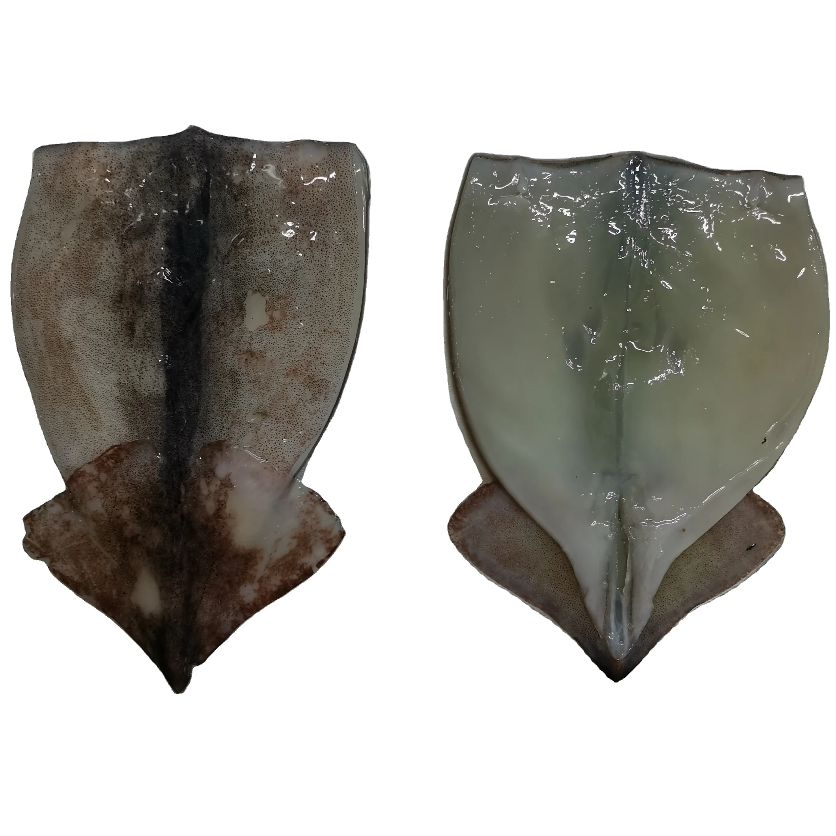 
Frozen todarodes pacificus squid fillets 