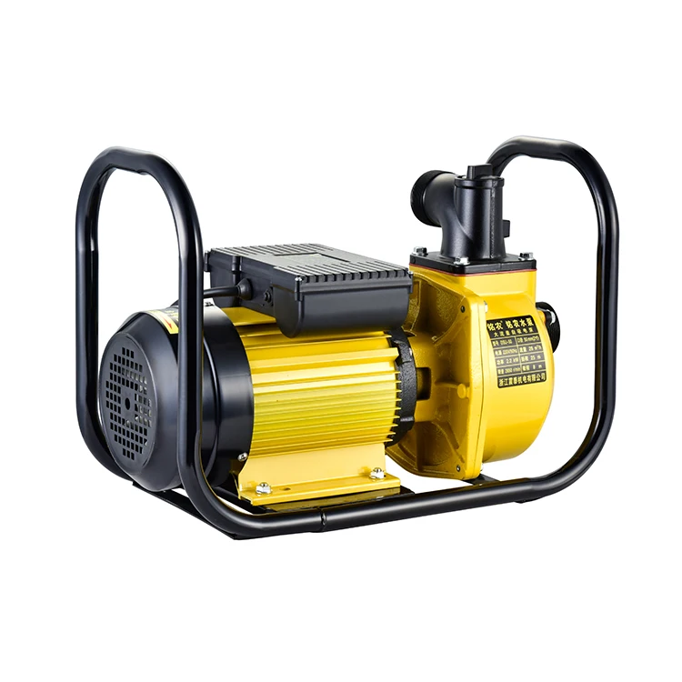 220V/380V 50Hz 3Hp Water Jet Pond Centrifugal Irrigation Agricultural Electric Auto Water Pump