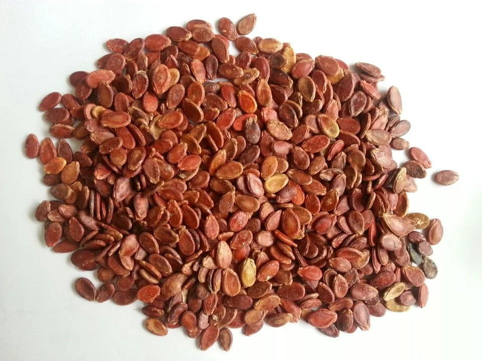 Wholesale factory supply Hulled Red Watermelon Melon Kernels Seeds