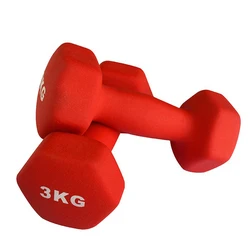 Home Gym Fitness Adjustable Neoprene Dumbbell women training mini rubber dumbbell set