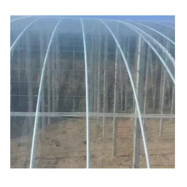 Green House Plastic Agricultural Film Agricultural Greenhouse Film