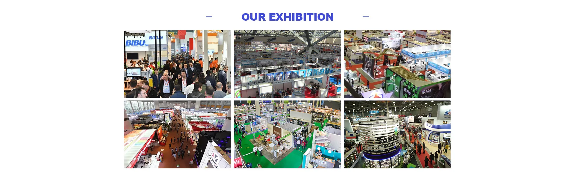 YZXW Wholesale high quality best cat food automatic cat food best seller Cat Food