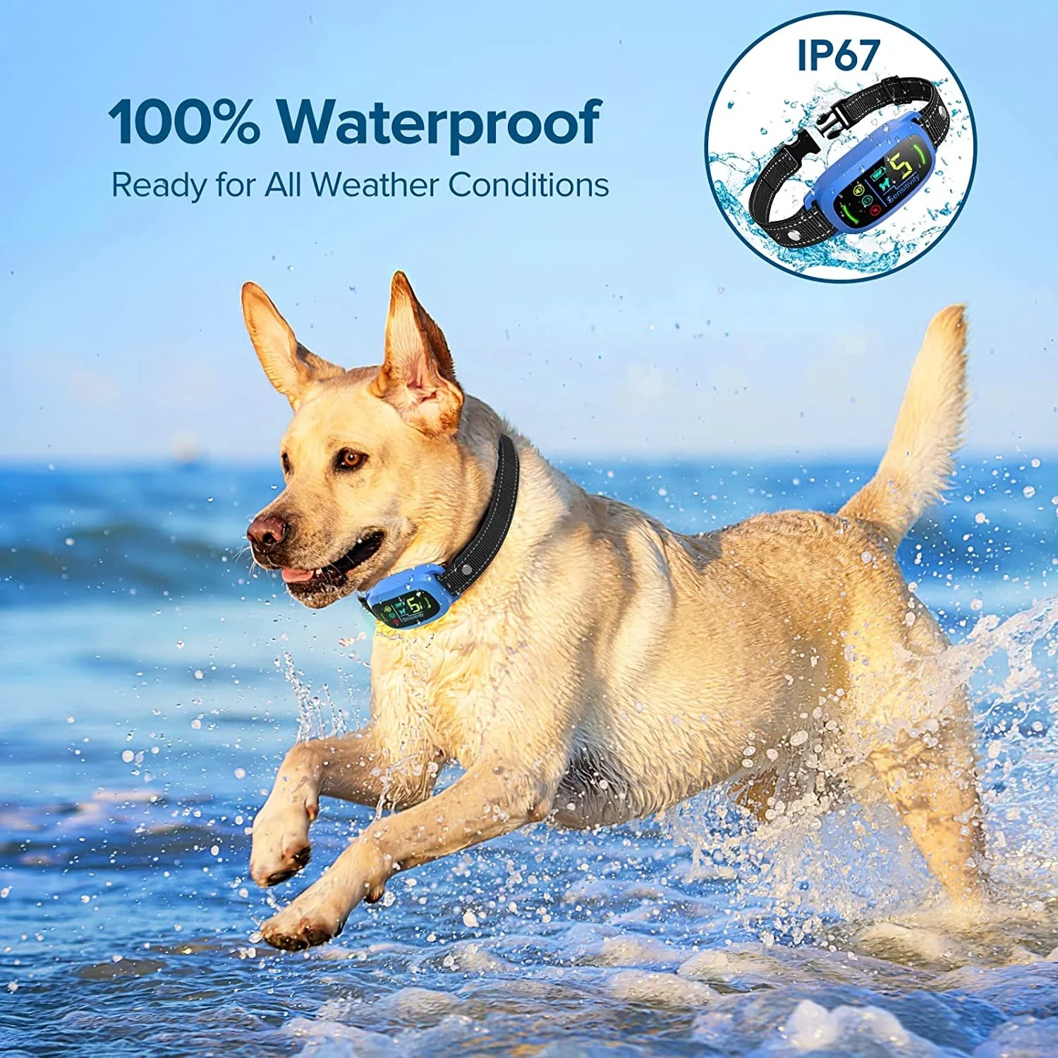 2022 amazon nbju automatic anti bark collar for dogs