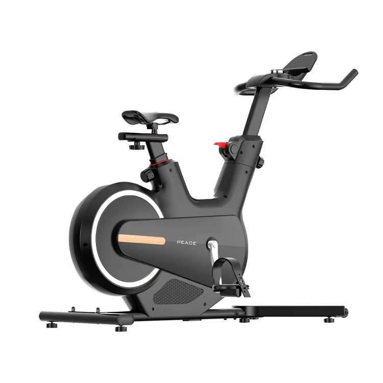 Exercise Bike Stationary Workout Machine Upright Indoor Home Gym Cycling Bicycle
