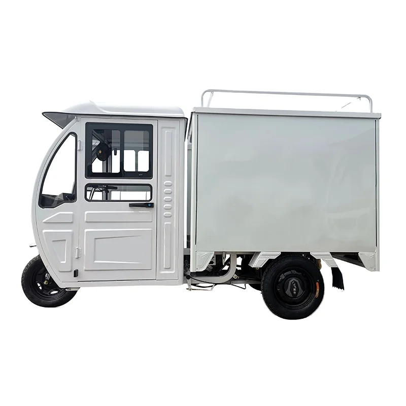 China Supplying Customized 3-Wheel Electric Trike Closed Cargo Wagon 60v Voltage for Adult Passenger Delivery Express
