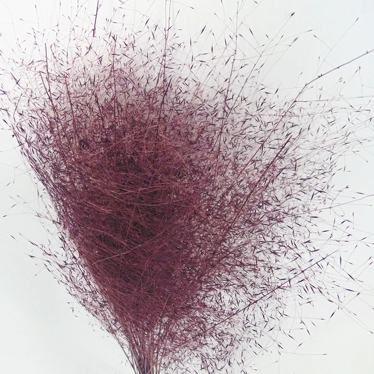 New product handmade preserved limonium carved wooden decor pressed flower wall art rattan glass