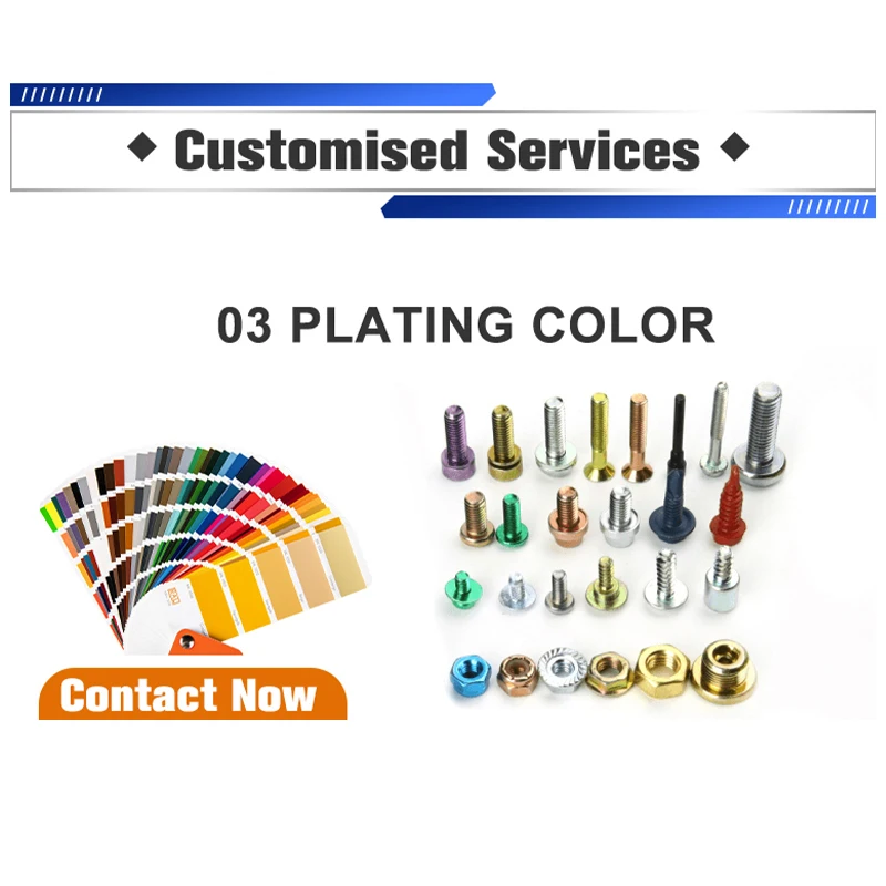 Moto Master Disc Mounting Bolts Customized Fastener M6 M10 M5 M12 M4 M2 Thread Forming Screws