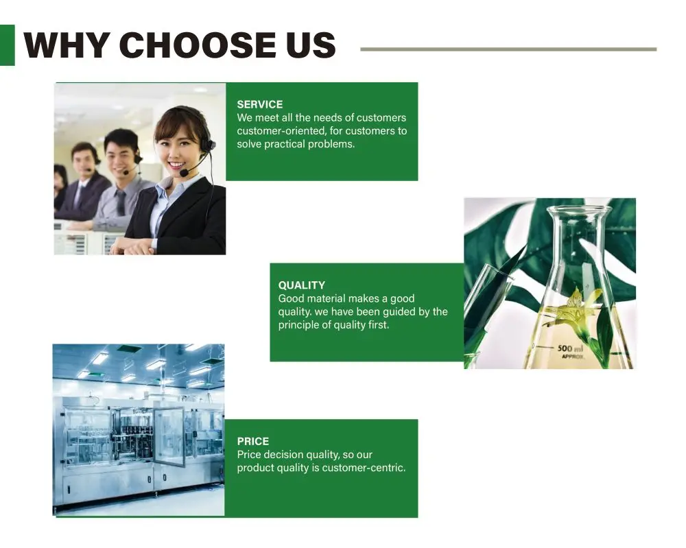 04shenzhen  vog (2).jpg