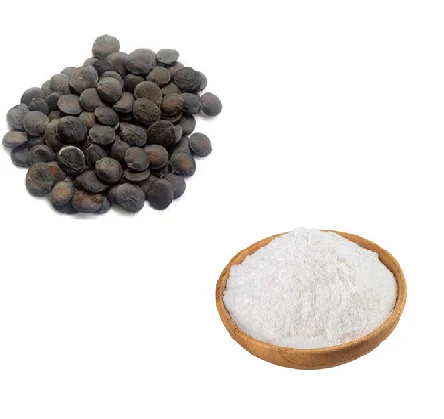 98% 5htp Griffonia Simplicifolia Seed Extract 5-Htp