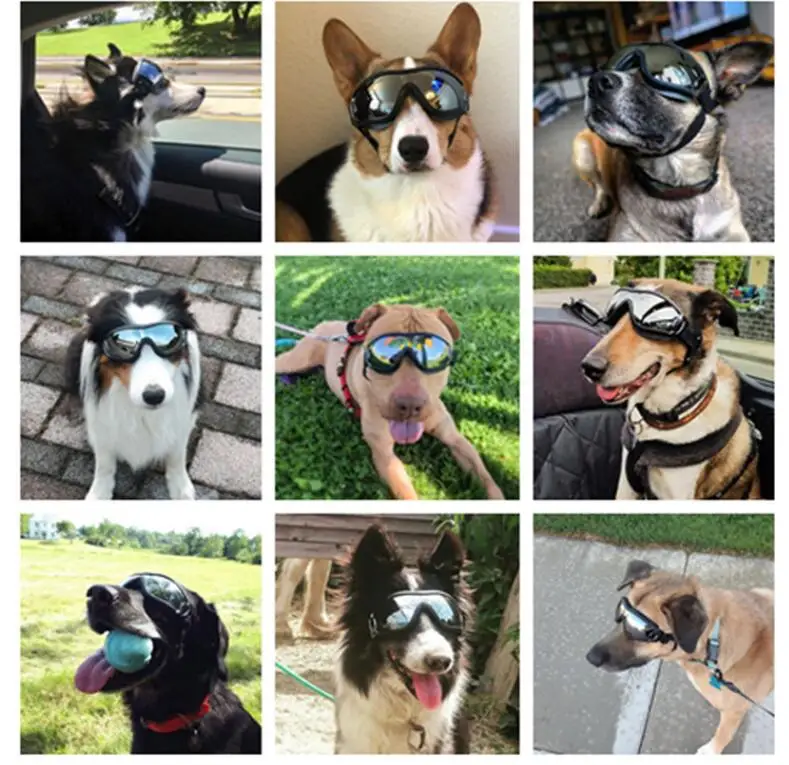 New Product Dog Goggles UV Protection Doggy Sunglasses Windproof Pet Glasses