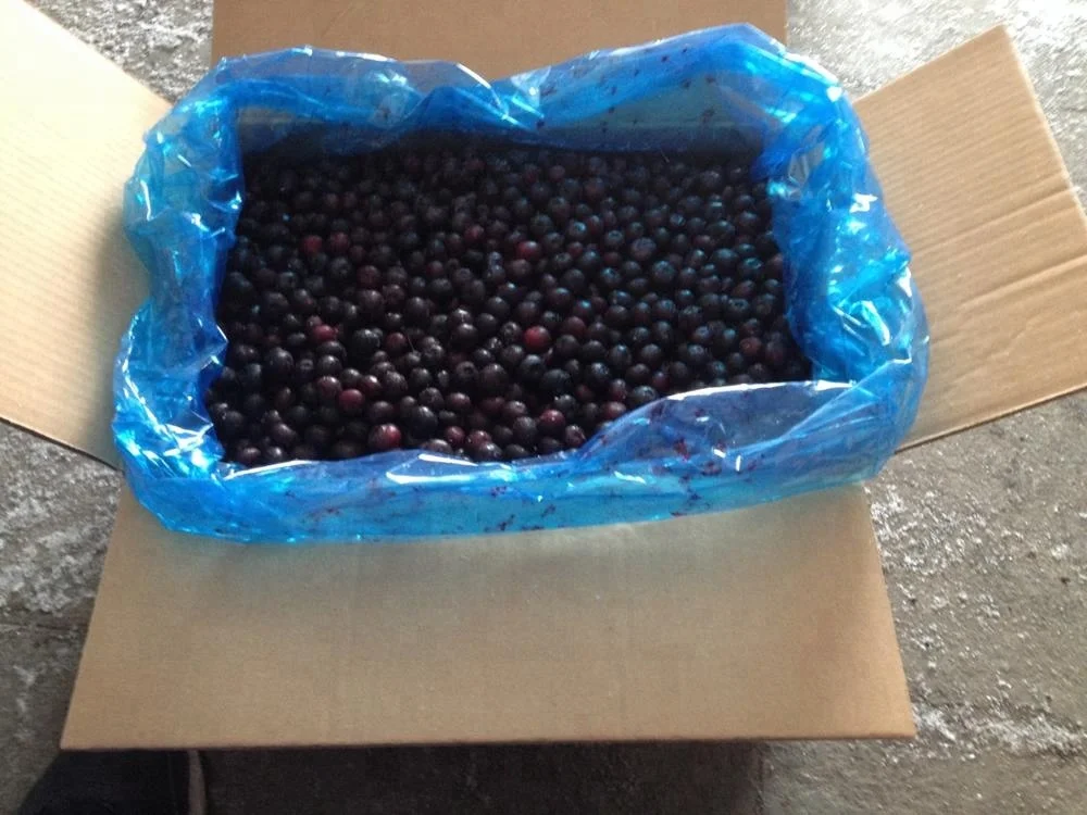 Bulk IQF Frozen Wild Blueberries