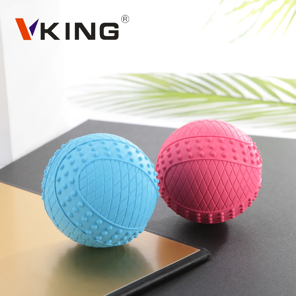  Vking Amazon Pets Bite Play interactive Training Squeaky dog