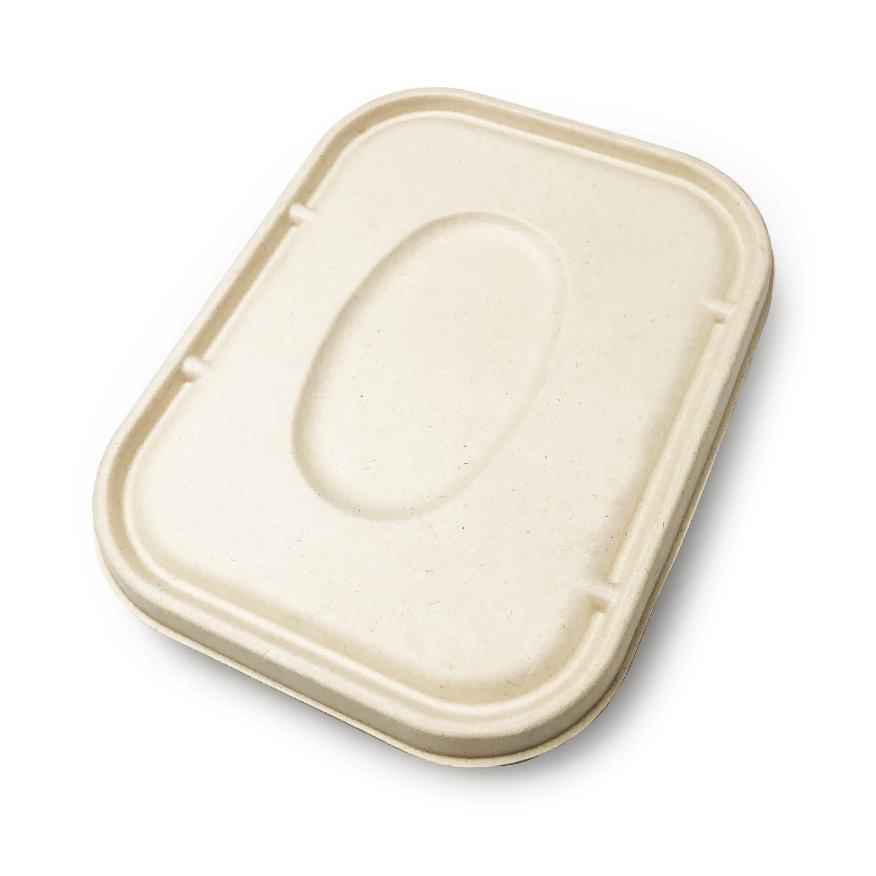 Disposable Food Tray With Bagasse 5 Compartments Biodegradable Lunch Tray meal tray
