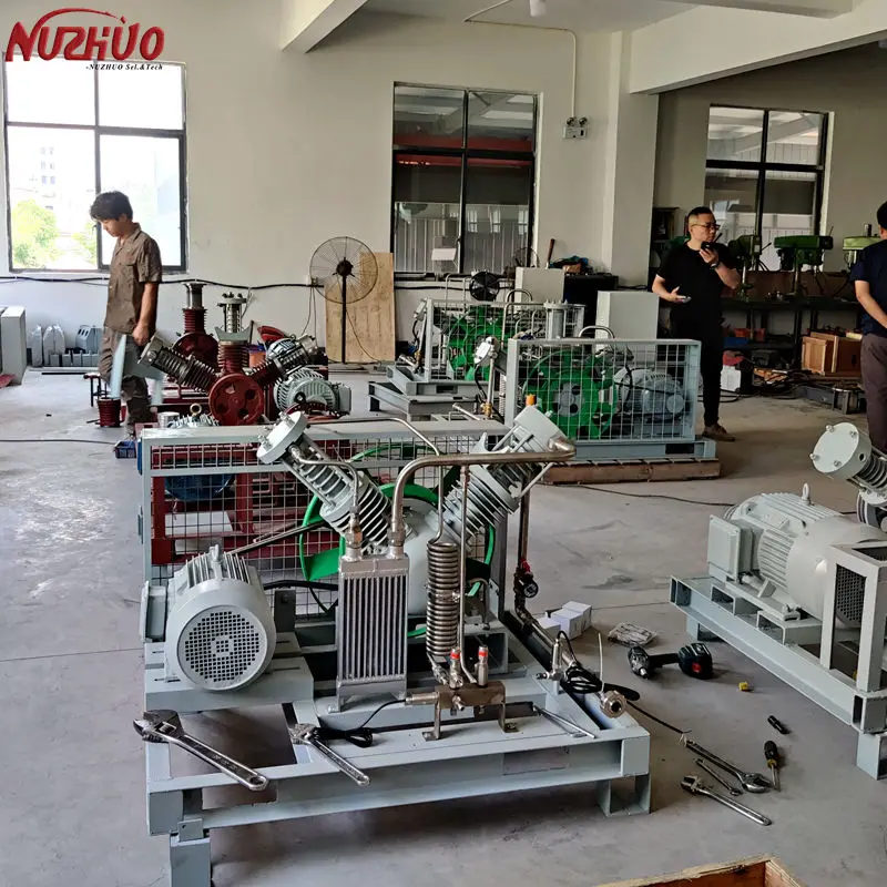 NUZHUO Golden Supplier высококачественный гидрокомпрессор 100 нм 3/ч