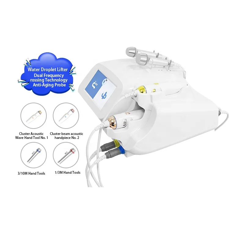 Merry Christmas Price Ultrasonic Hifu Beauty Equipment Wrinkle Remover Hifu Portable Body Shape Face Lift Ice Cooling