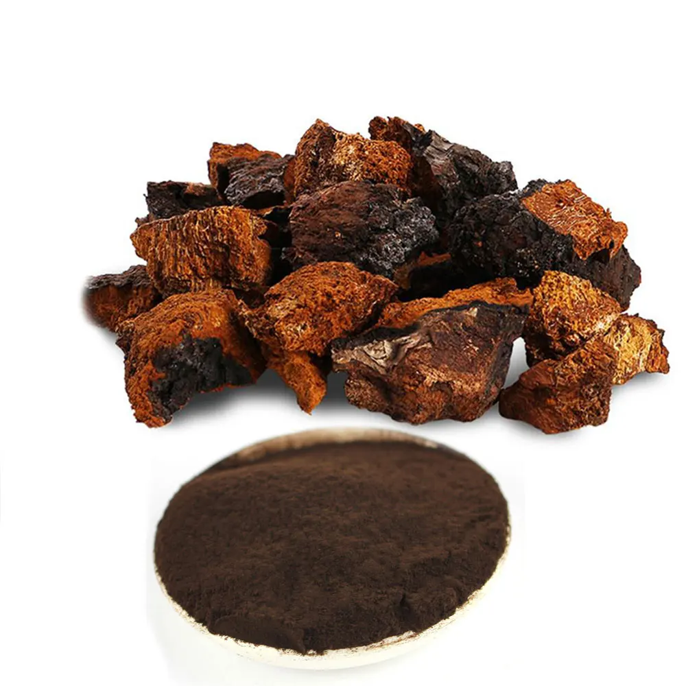 Порошок экстракта грибов Чаги от производителя