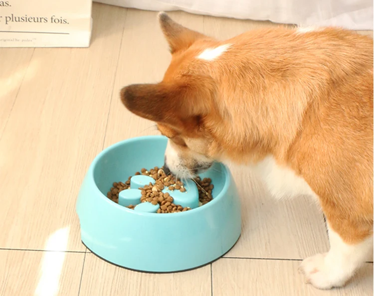 Продукция для домашних животных HMS, домашняя и наружная дешевая дизайнерская Экологически чистая миска для собак из полипропилена, медленная кормушка