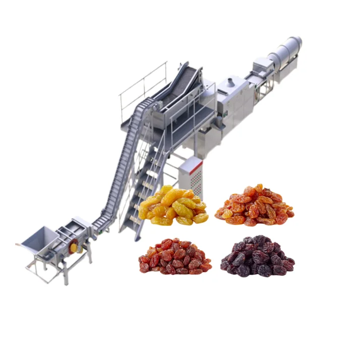 Full automatic 2000 kg raisin polishing machine raisin process line for food handling