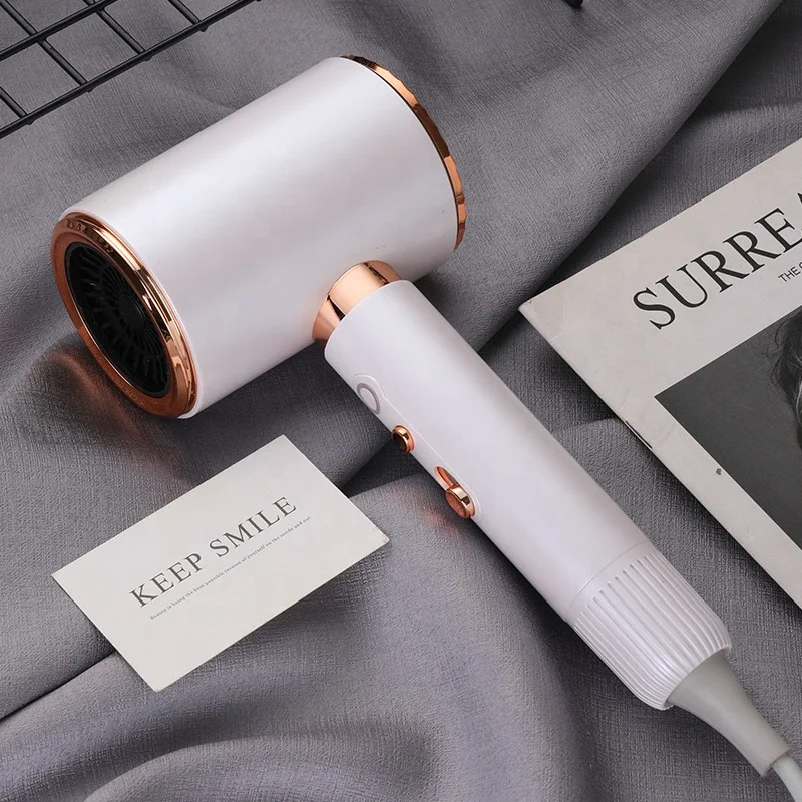 Salon High Power Hair Dryer 2400w 2100w High Speed Hairdressing With 2 Diffusers Blow Dryer