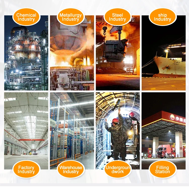 Factory Round Led Ceiling Light Explosion Proof Illumination Lamp Hanging Oil Lamps Lowest Price Professional Explosion Proof