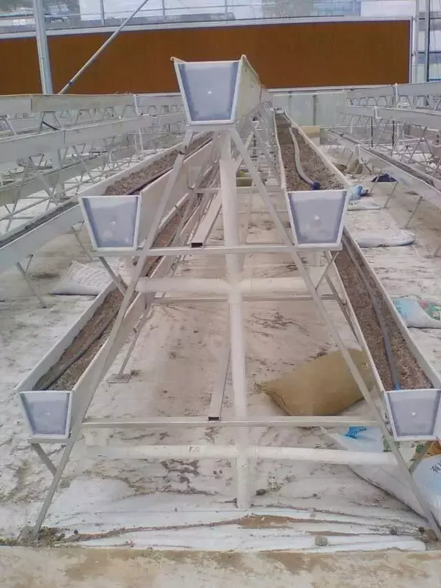 Food Grade Commercial Greenhouse Strawberry Planting Gutter Agricultural Equipment With Hydroponic Growing System