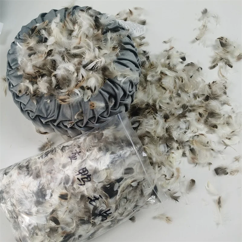 Factory Supply High Quality Washed Duck/Goose Feather Down for Sale