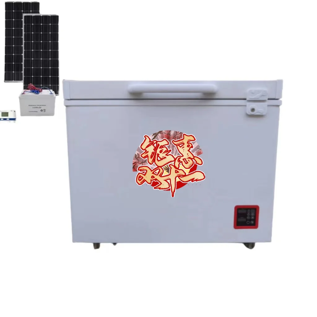 12V Small Freezer 66L
