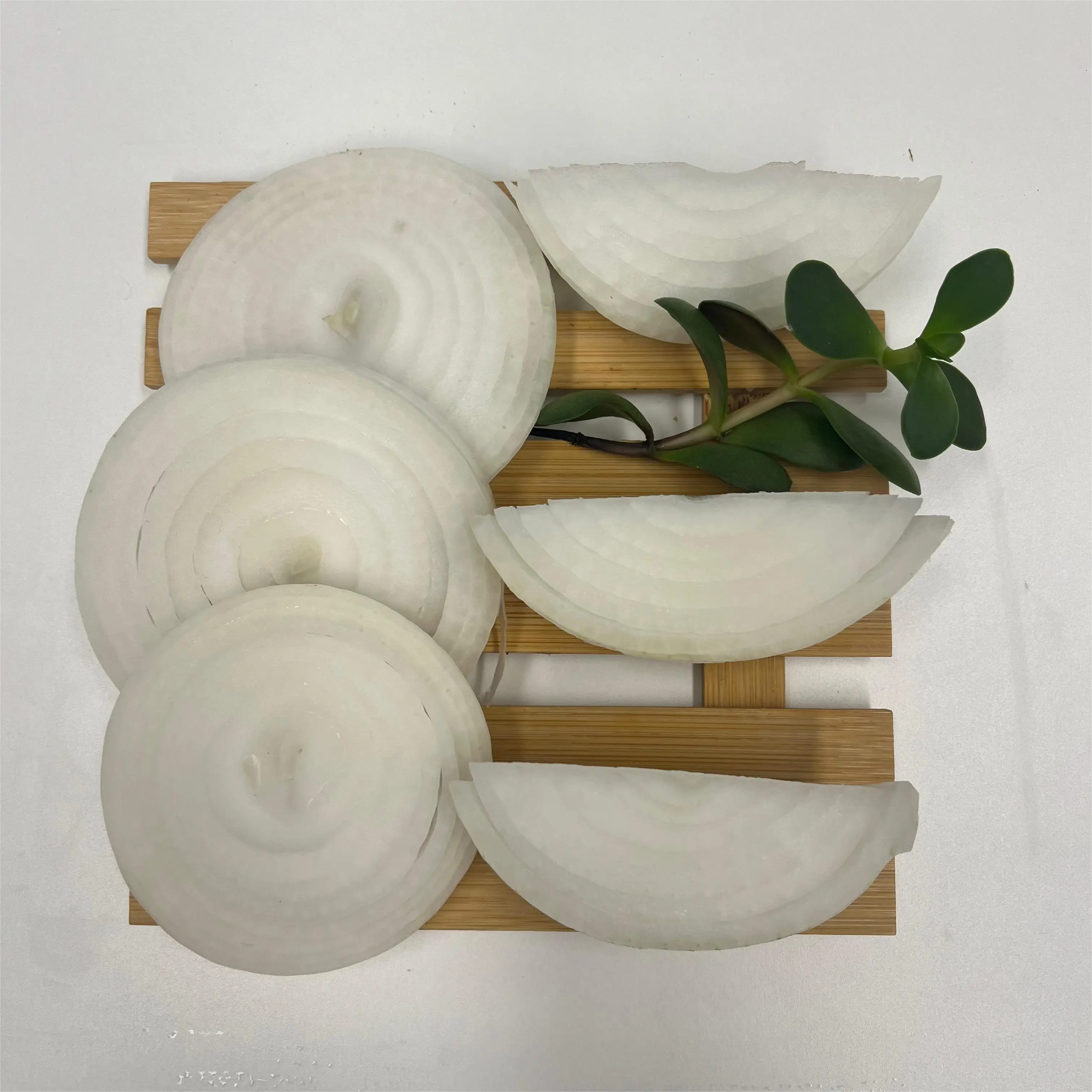 Fresh Onion Bulk Newest Crop high quality Professional Export Fresh Onion Wholesale