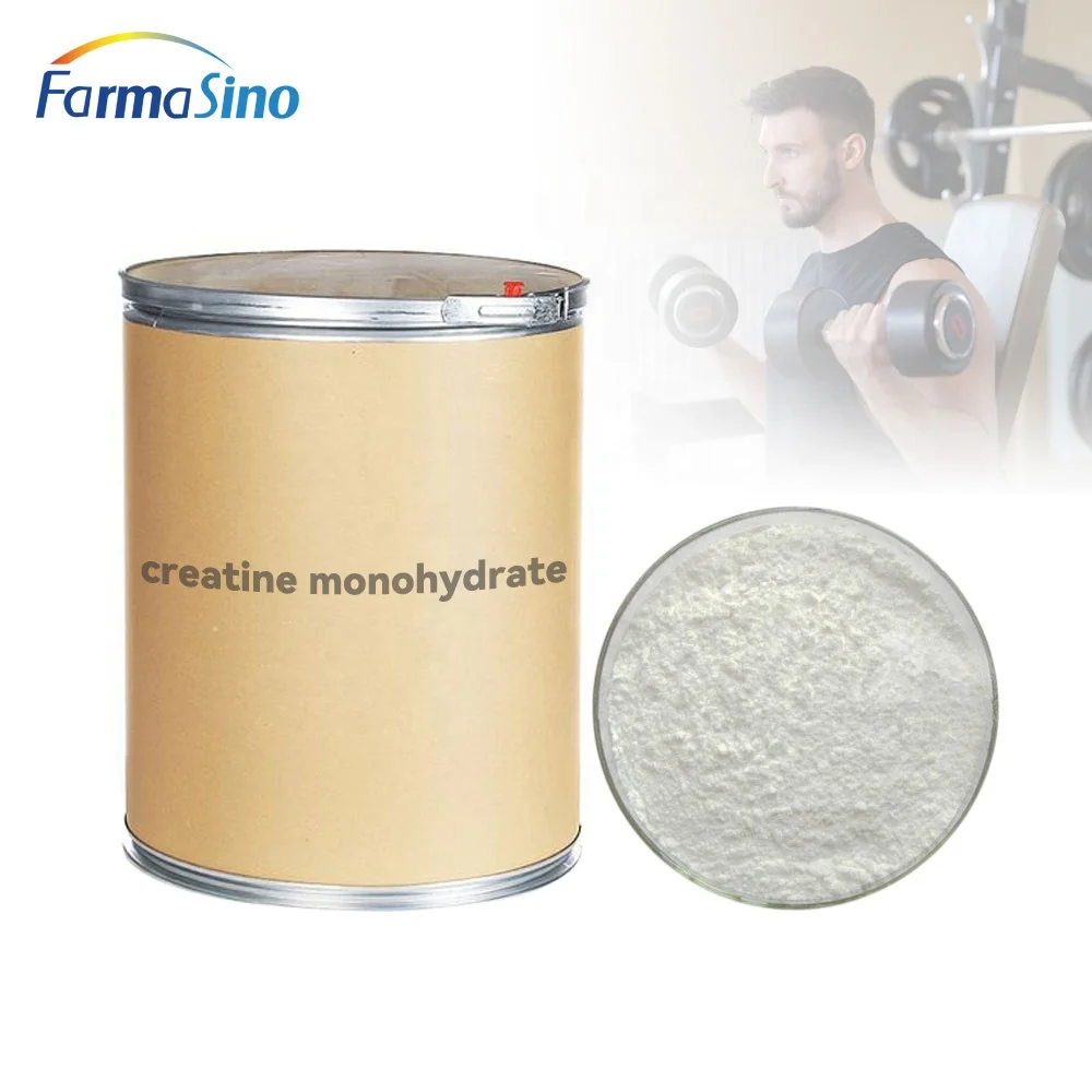 Pure Raw Materials Creatine OEM 200 Mesh Creatine Monohydrate for Health Care Powder Creatine for the Gym