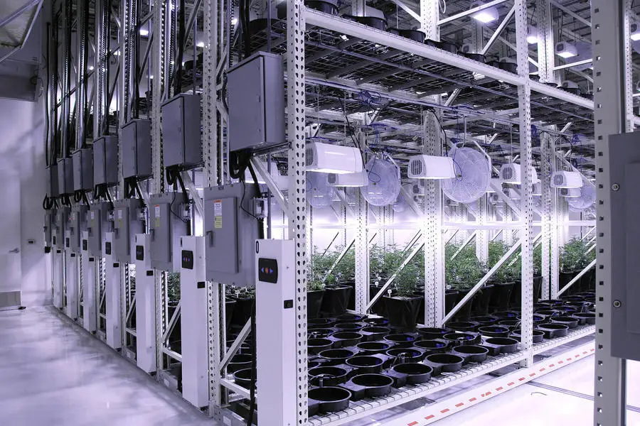 Multi-span greenhouses irrigation&hydroponics equipment vertical growing systems indoor