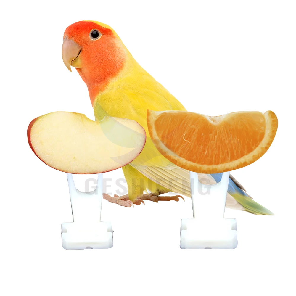 GSF GA-2401 Plastic Fruit Fork For Feeding Bird 3.5 And 4cm Bird Feeder For Bird Eating Fruit Feeding Finch Canary Feeder