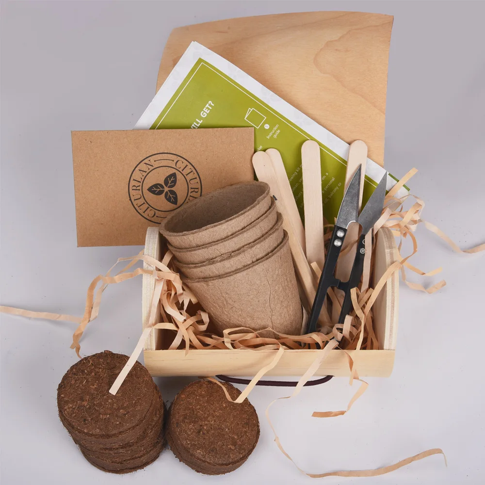 Indoor Diy Kitchen Small Plants Herbs Flower Garden Starter Kit Kids Flower Growing Tools Set