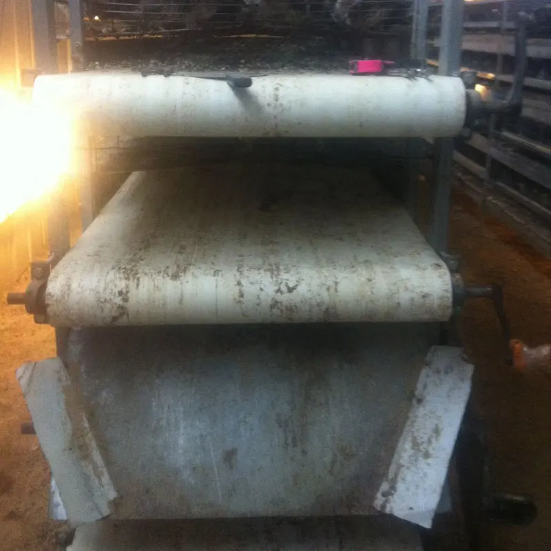 manure belt conveyor chicken quail