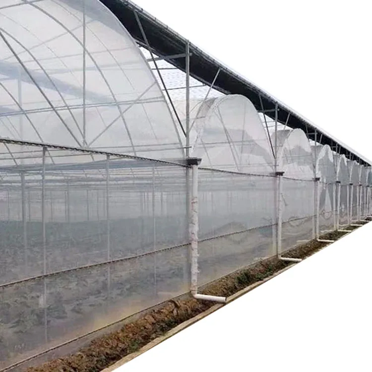 Agricultural Greenhouses Multi span film greenhouse and green house greenhouse structure on vegetables