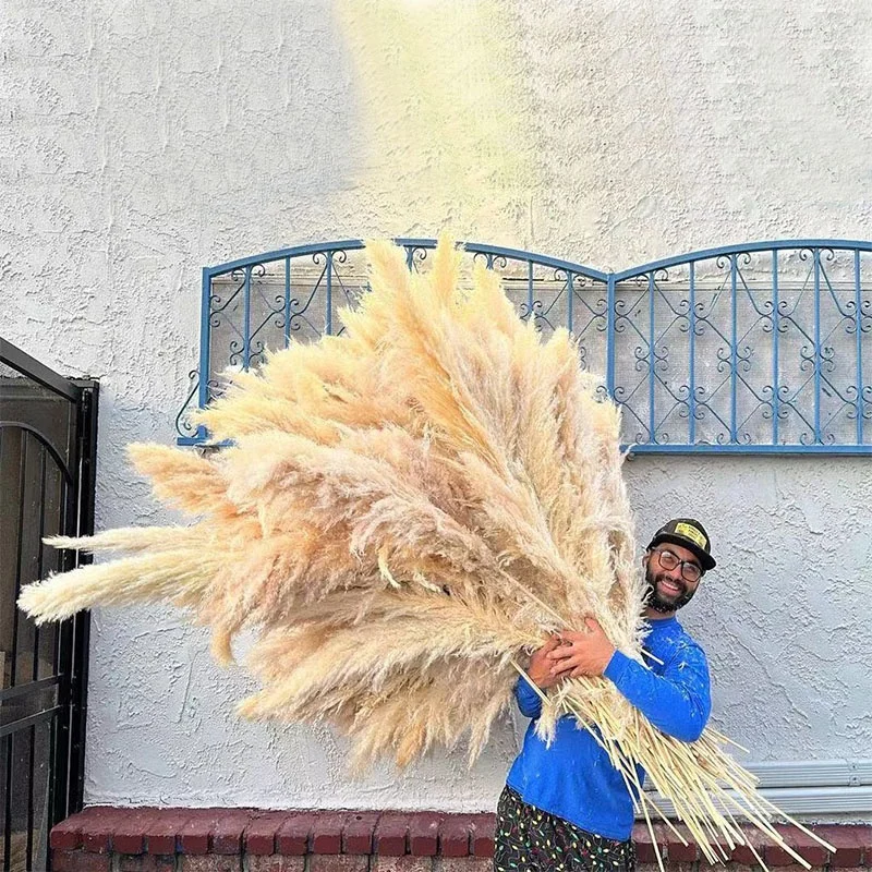 Оптом пампасы трава Декор сушеные цветы свадебное украшение бессмертный цветок реквизит для съемки большие